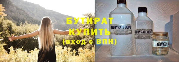 крисы Надым
